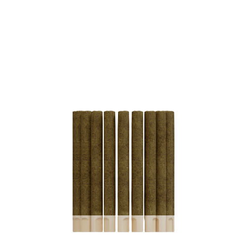 Twenty One Cannabis - 48ct 2g Blunt Jars