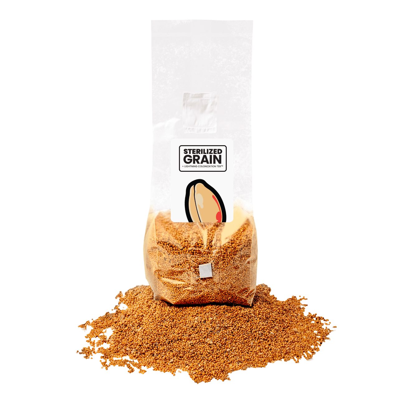 Sterilized Grain for Mushroom Spawn - 20 Units - Mushroom Supplies Co.