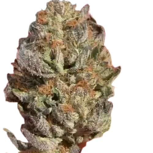 Bulk THCA Flower