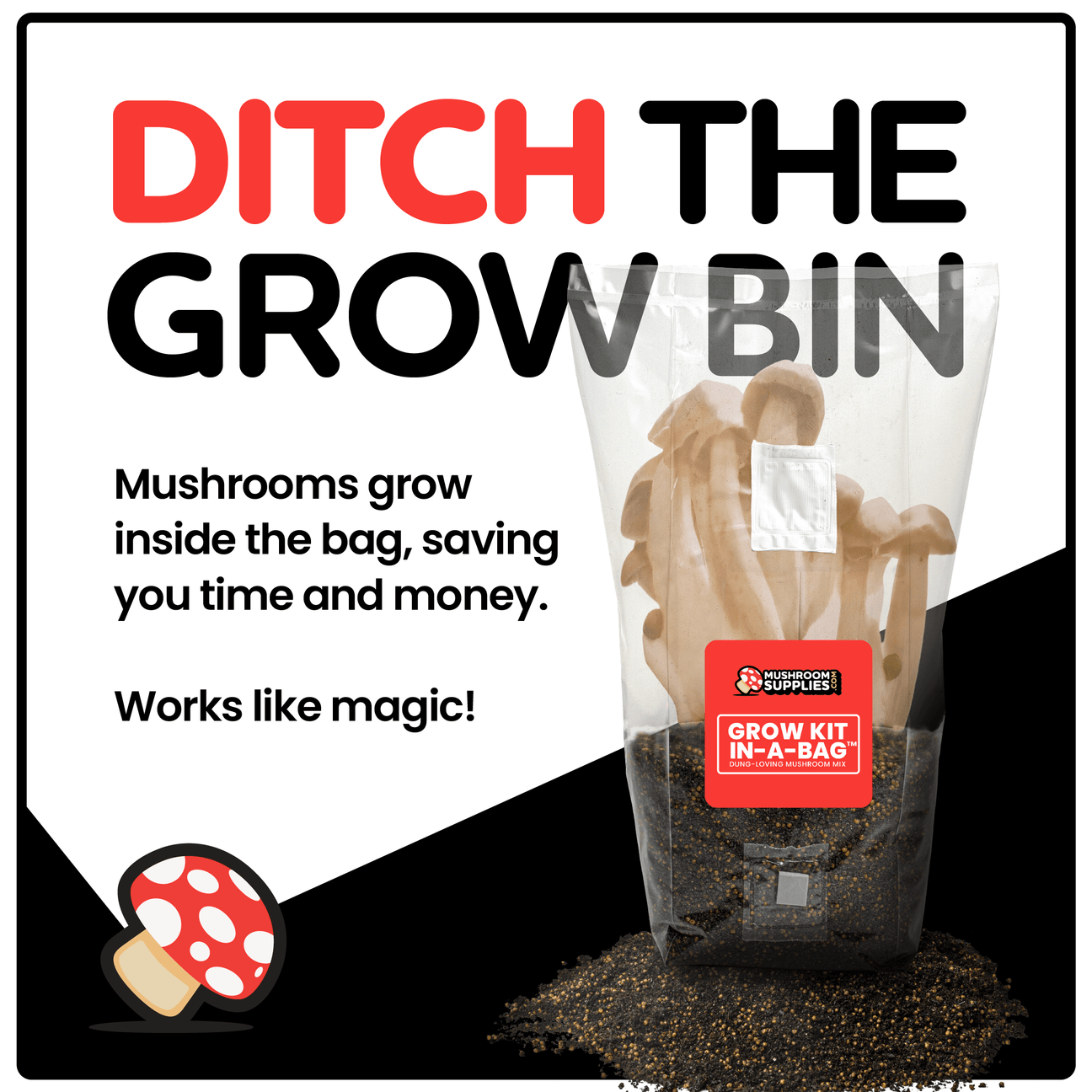 All-In-One Mushroom Grow Kit - 20 Kits - Mushroom Supplies Co.