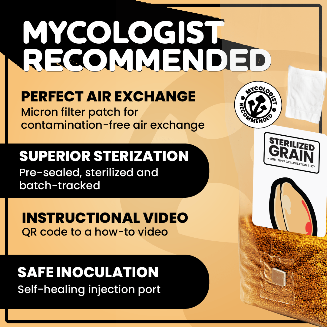 Sterilized Grain for Mushroom Spawn - 20 Units - Mushroom Supplies Co.