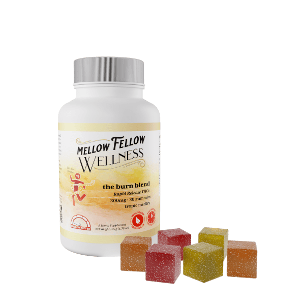 Mellow Fellow Wellness - 300mg Burn Blend (THCV) - Tropic Medley - 6ct Case