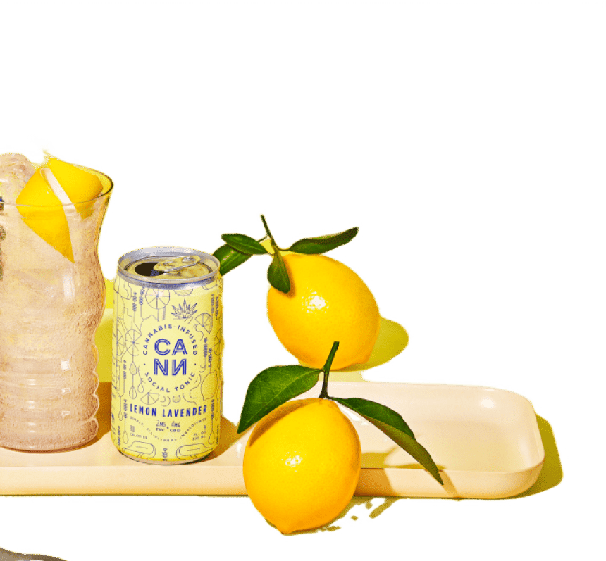 Lemon Lavender D9+CBD Social Tonic - CANN